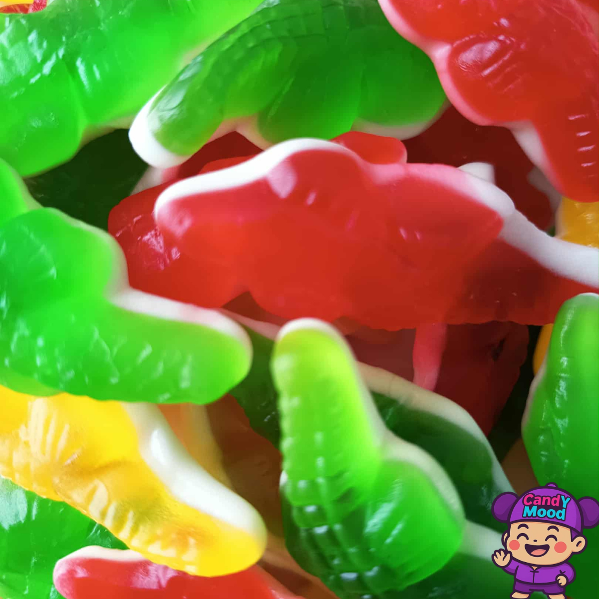 Bonbons Crocodiles Lisses Damel – halal, sans gélatine de porc, 100 g CandYMood 🐊