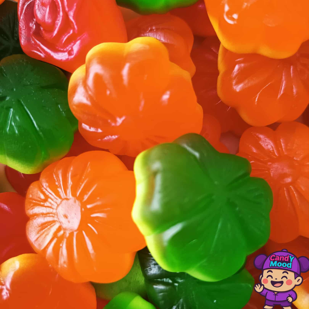 Bonbons Fleurs Lisses Damel – gélifiés halal, fruités et colorés 100 g CandYMood 🌸