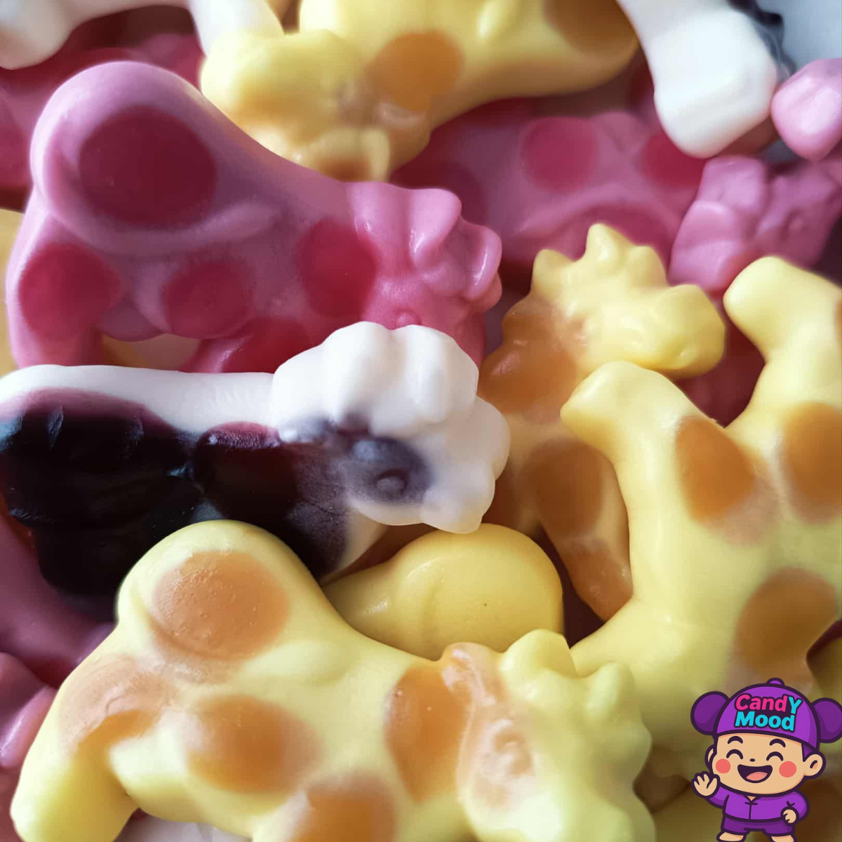 Bonbons Vaches au Lait Trolli – gélifiés sans gluten au goût doux et fruité de lait, 100 g CandYMood 🐮