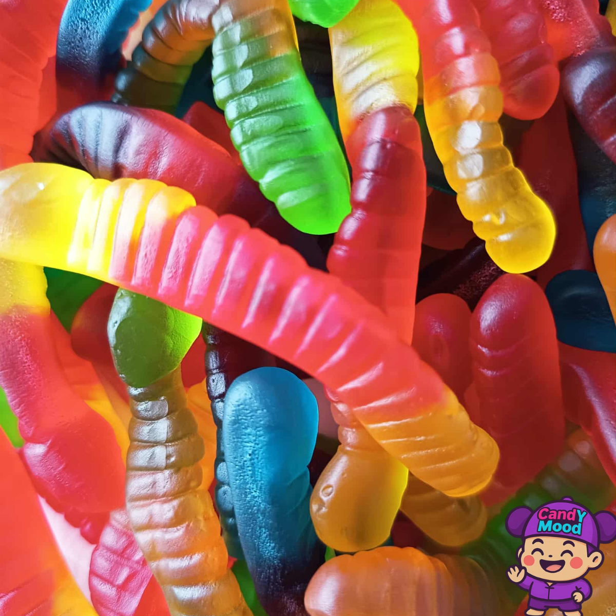 Bonbons Vers de Terre Lisses Damel – fruités, colorés et halal 100 g CandYMood 🍬